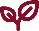 planta ai